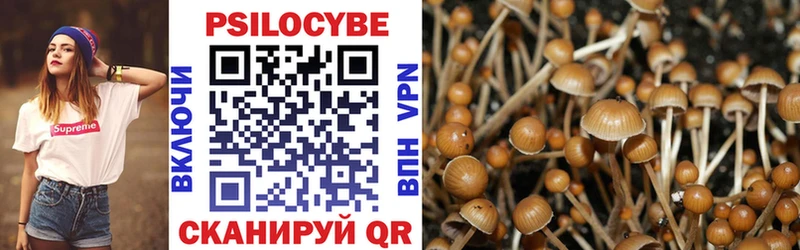 Купить  Котельники  Галлюциногенные грибы GOLDEN TEACHER 